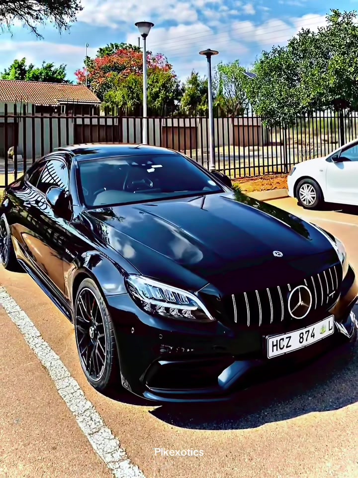 @PLK Exotics