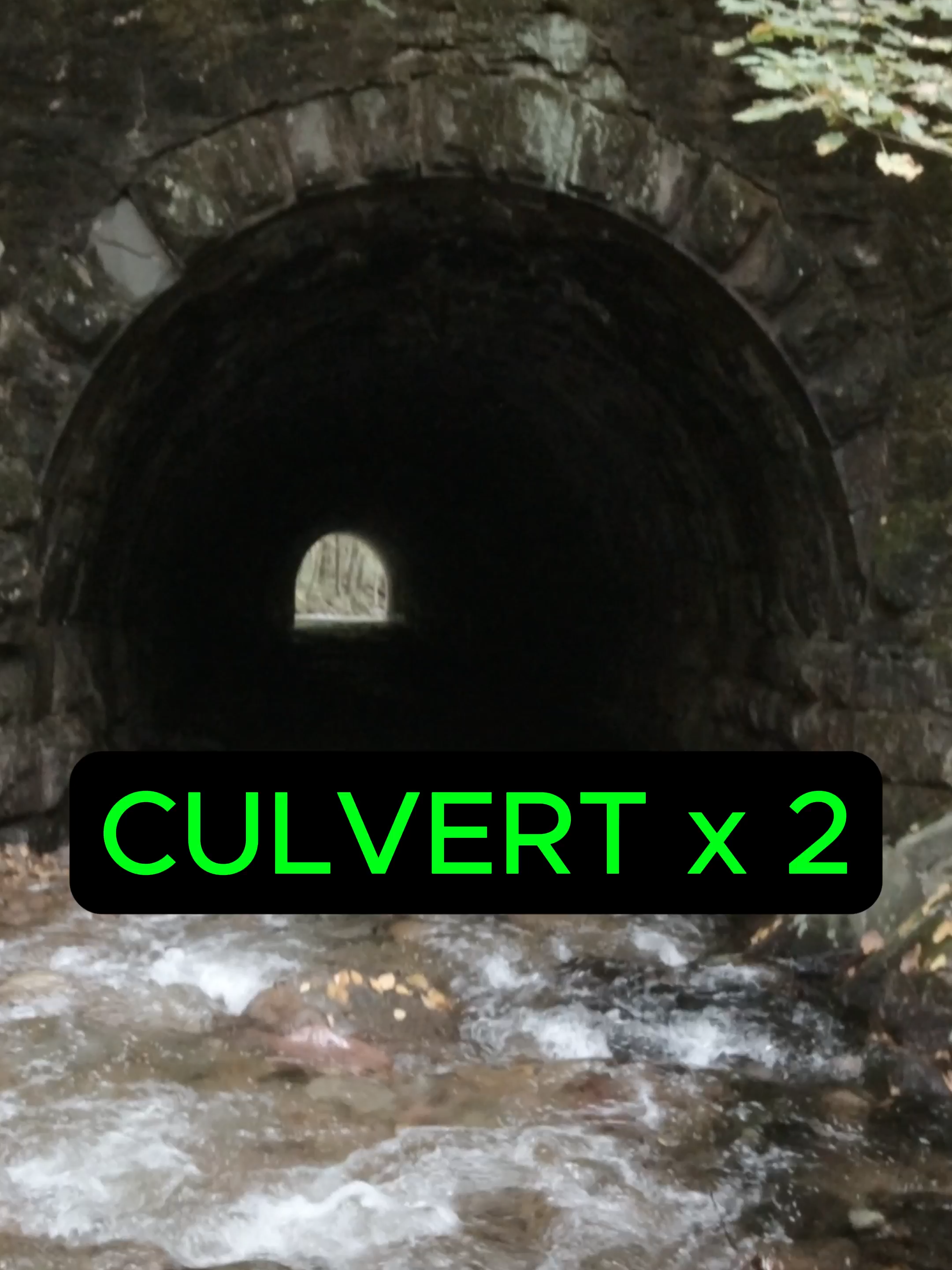 @DD Explores