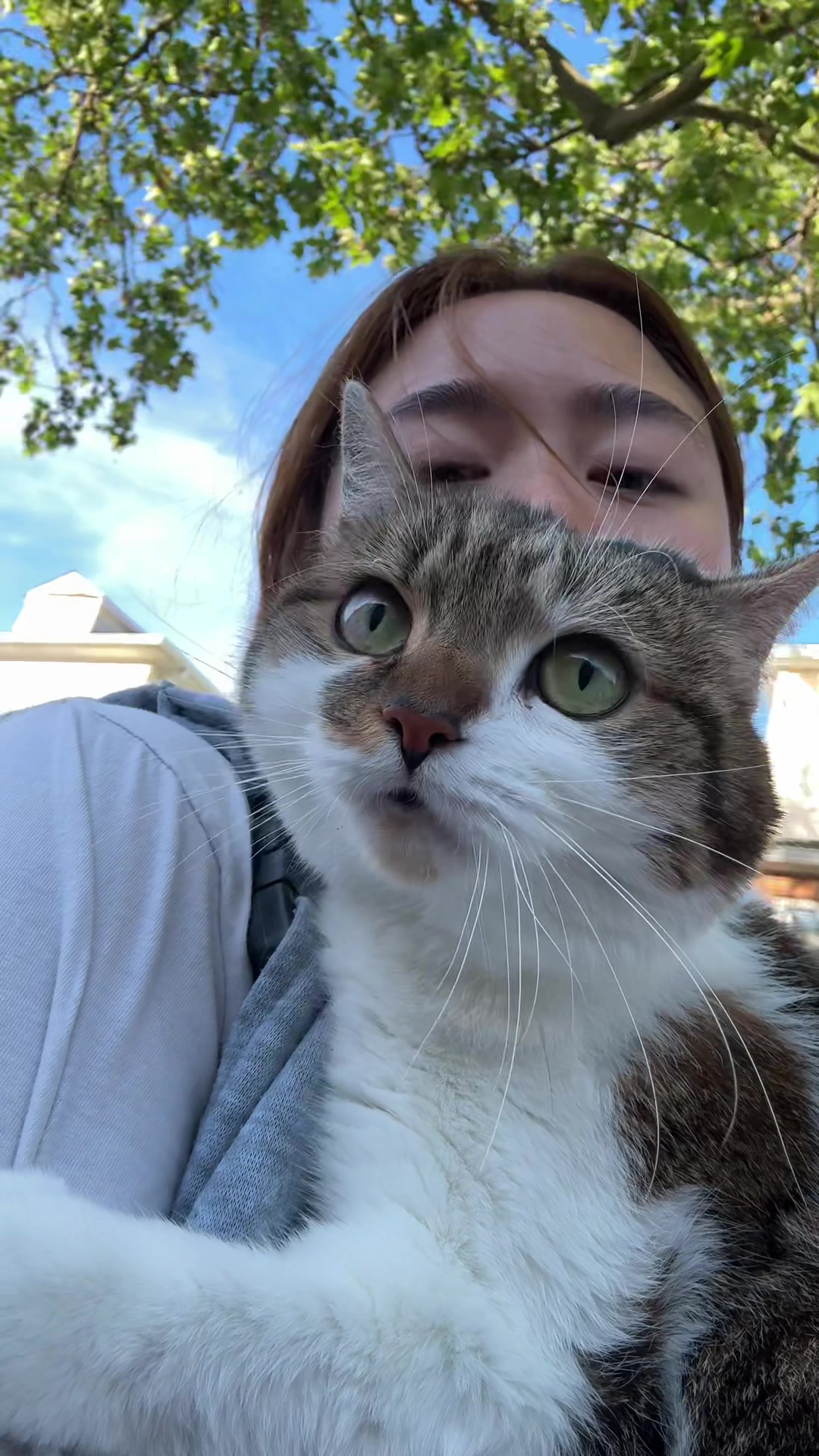 @Suki Purrs
