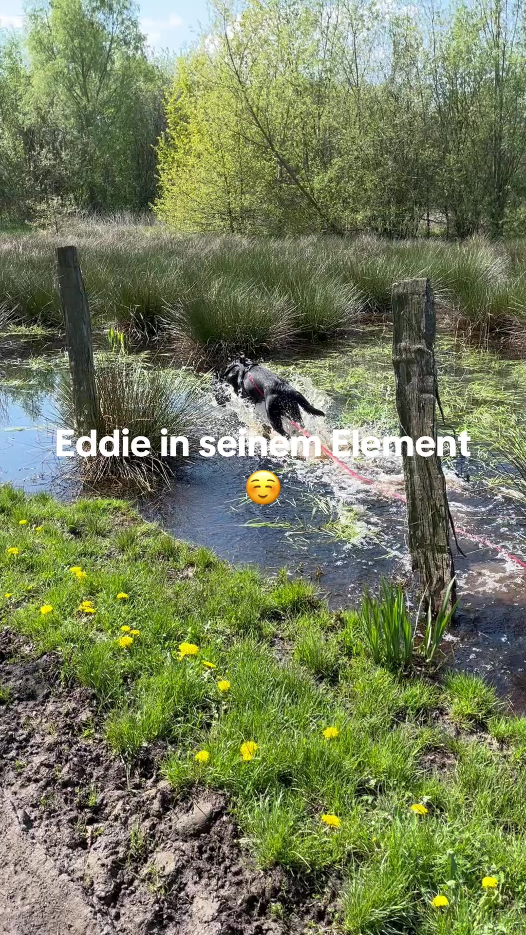 @Manuel,Aslan&Eddie🐾❤️