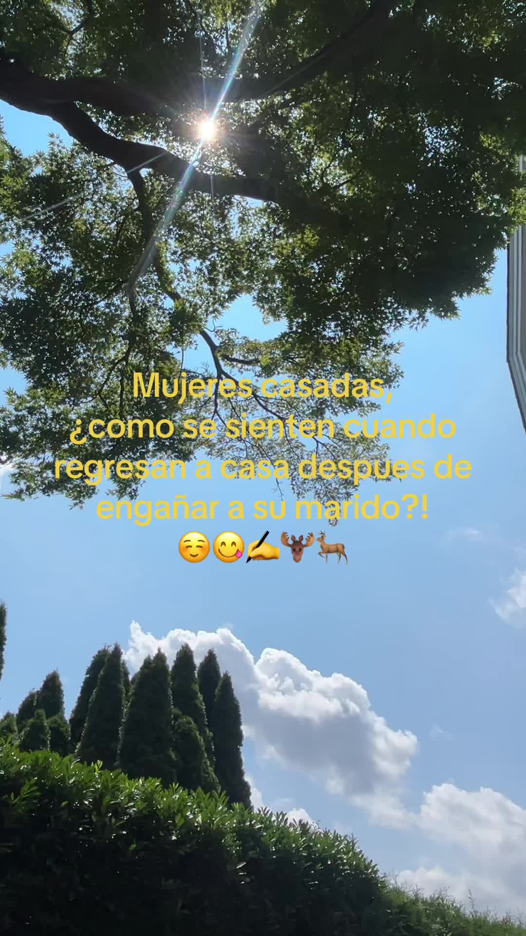 @🤴 REYES 🤴