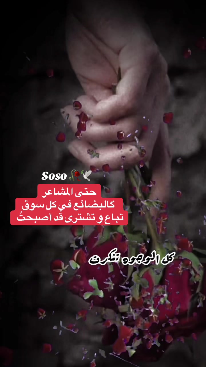 @༊෴✿ سوسو ✿〄࿐