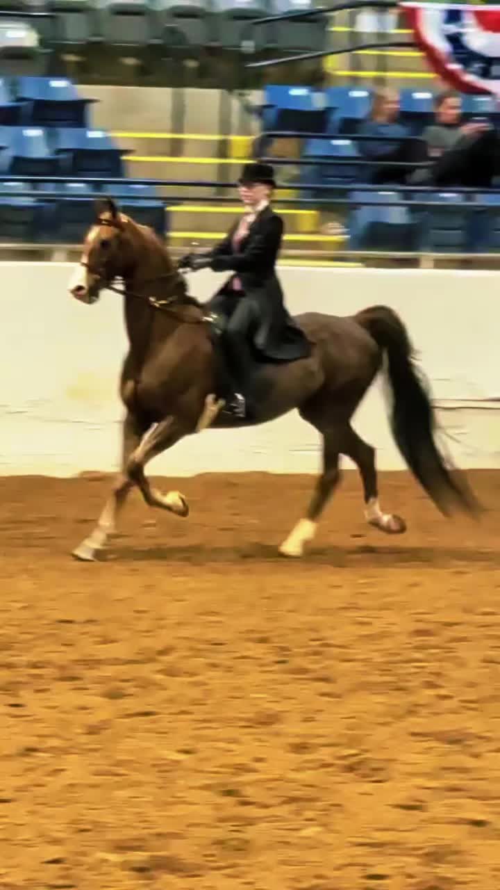 @saddleseat_4life