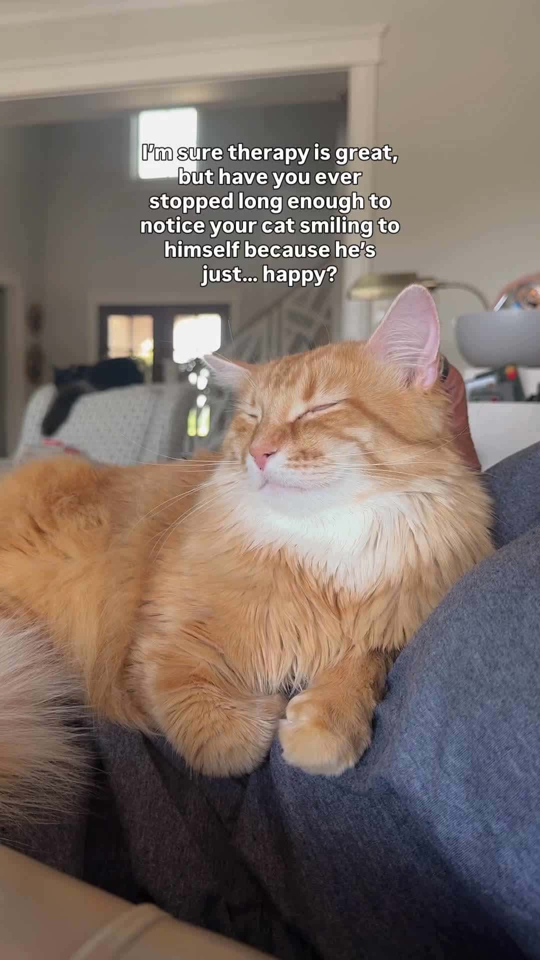 @Winnie: Maine Coon Kitty