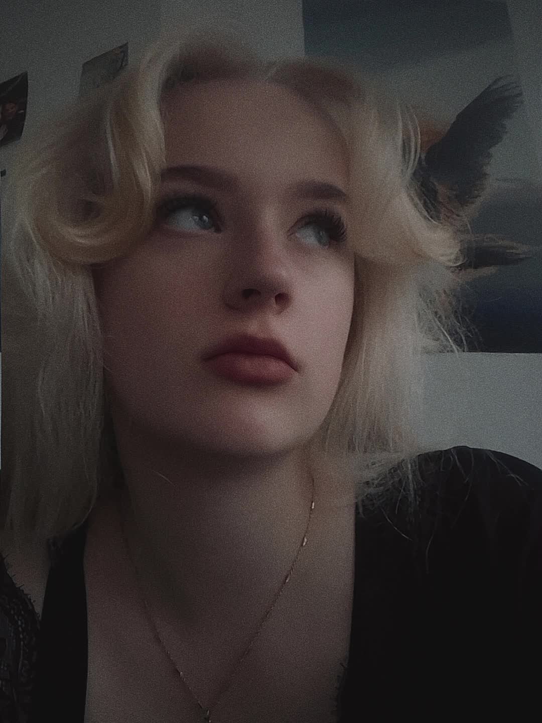 @🌙𝒶𝓃ℊℯ𝓁 𝓁𝓊𝓃𝒶🌙