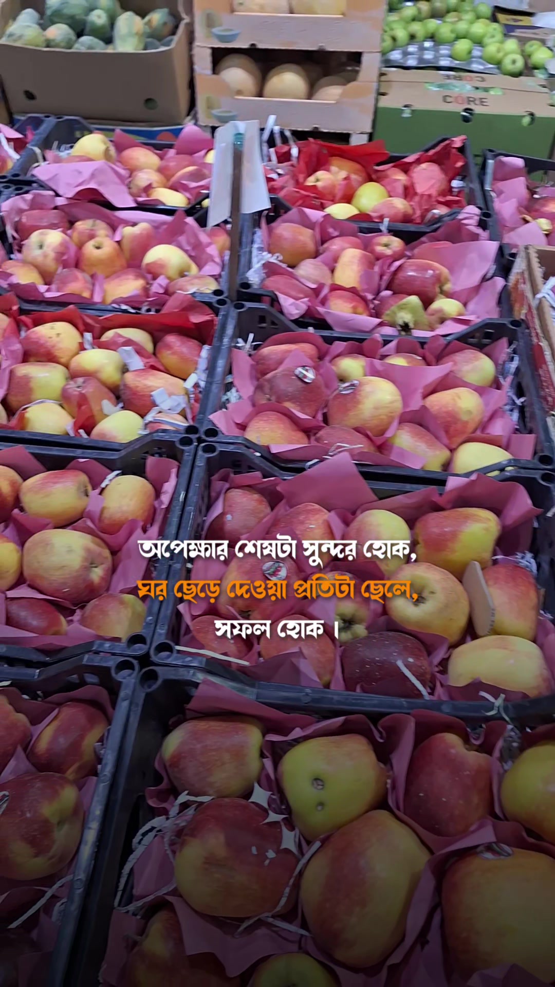 @Md Shamim