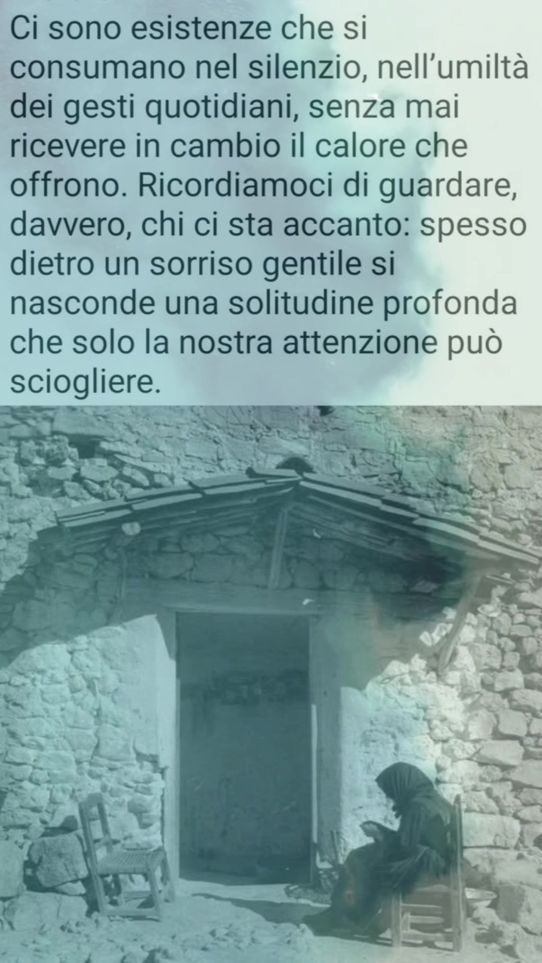 @Silvana Colombarolli