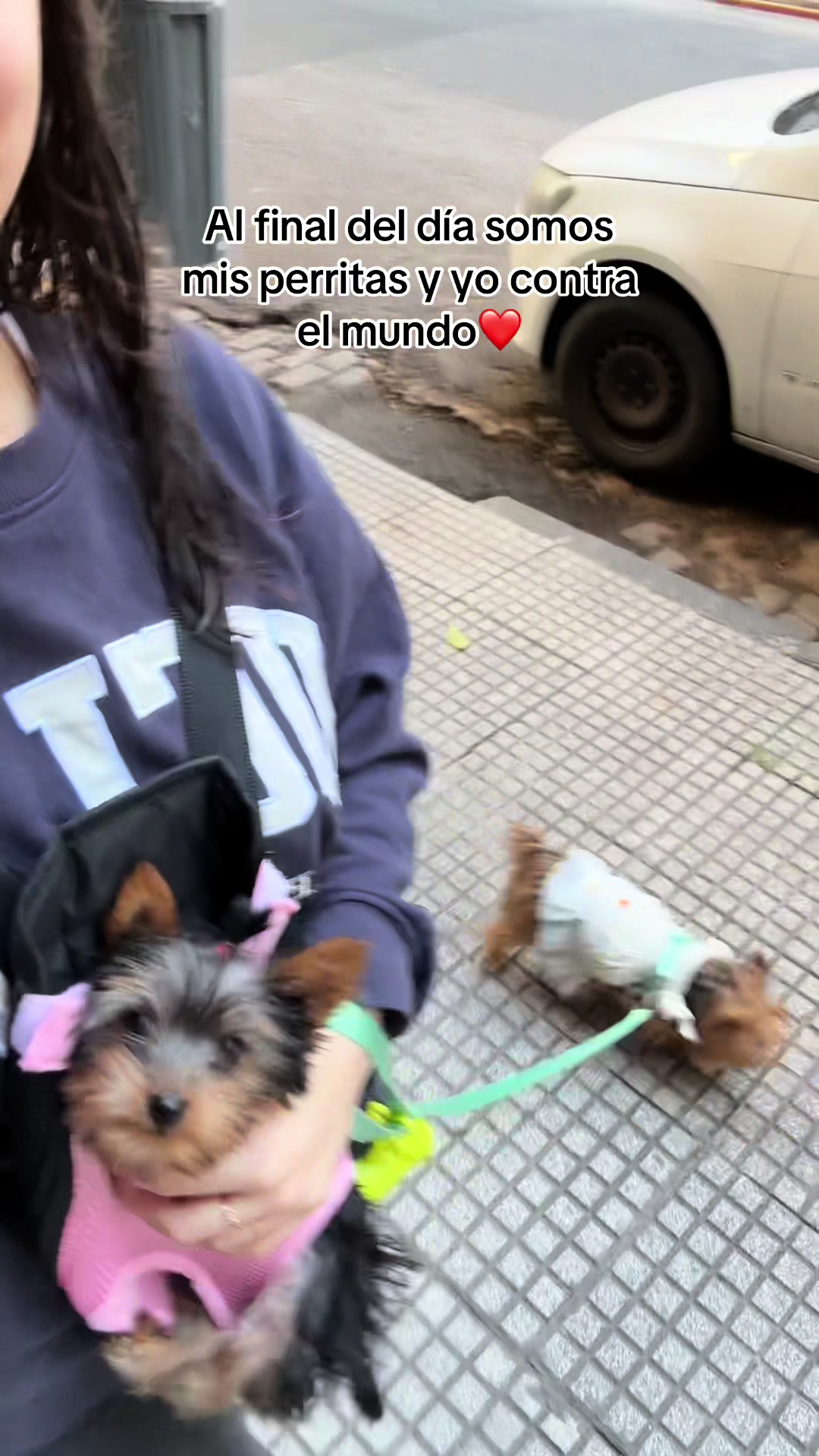 @Paloma Confortola