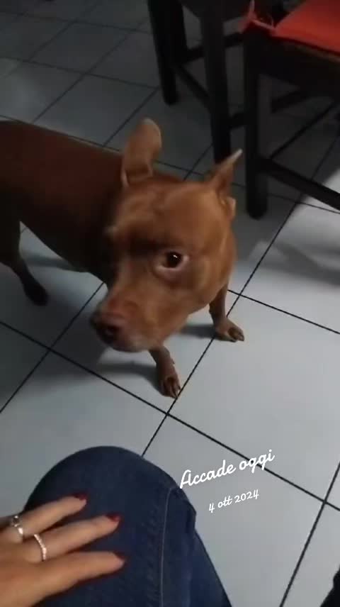 @anncinesina🥰