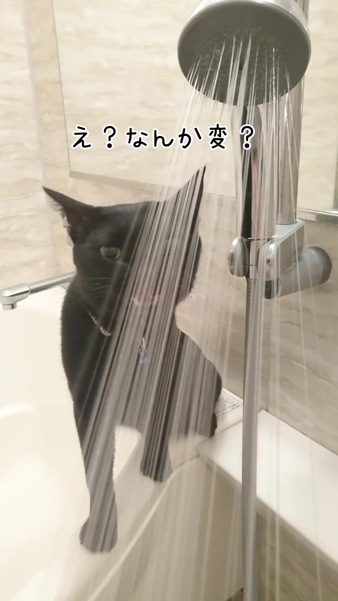 @Chikurokie