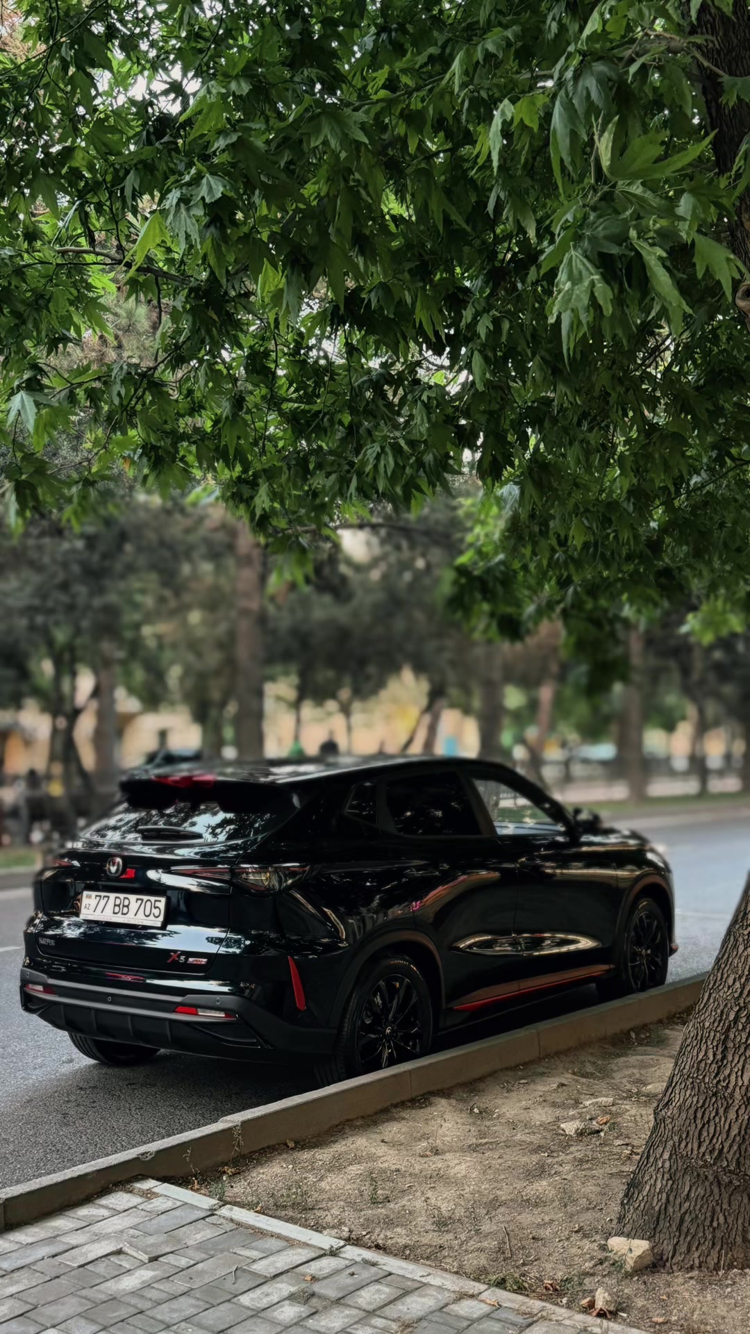 @&Ccedil;inarə Aşurova
