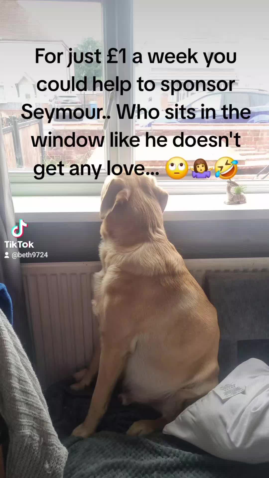 @Beth9724😜