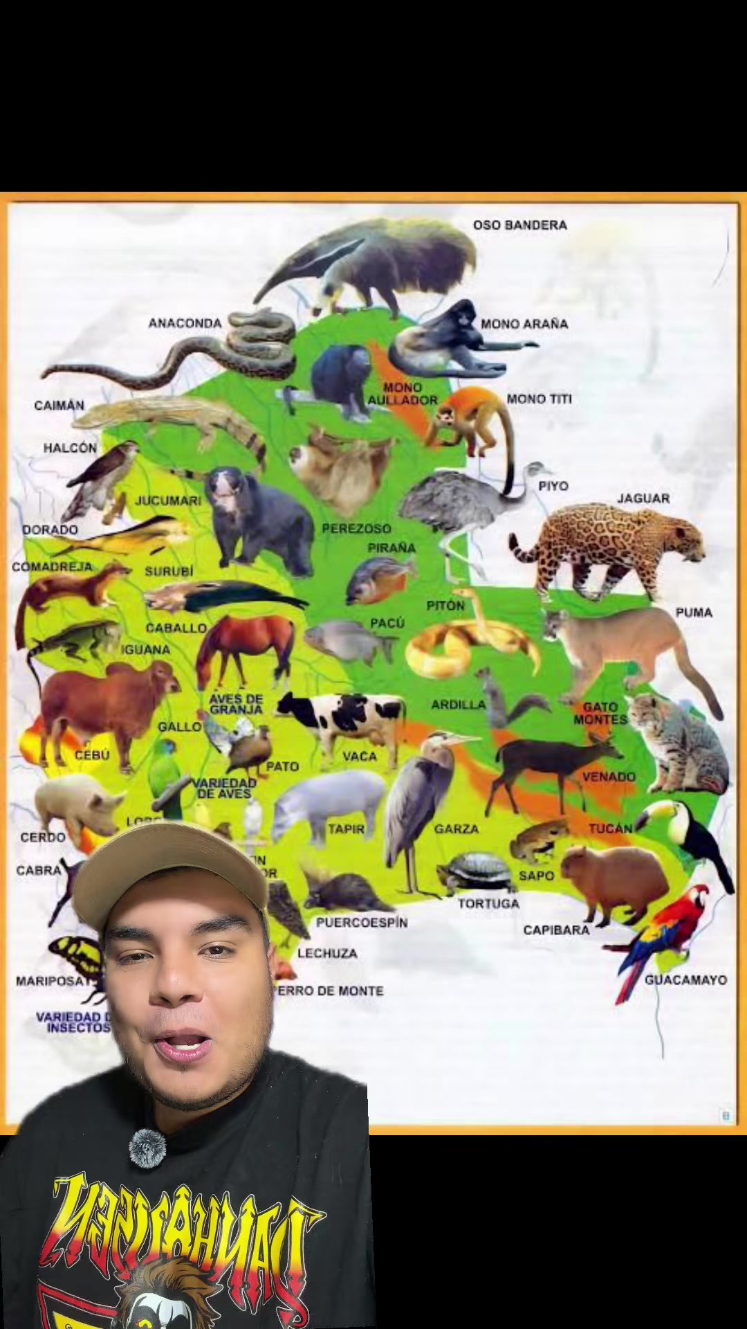 @Jair Herrera 🐆
