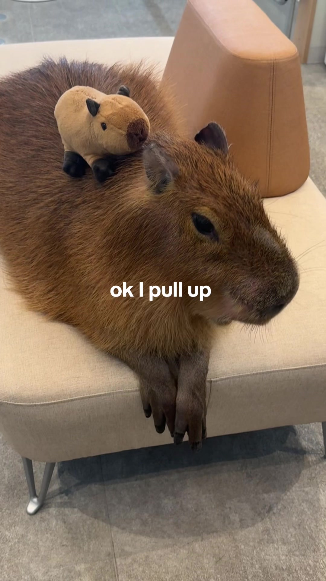 @julie