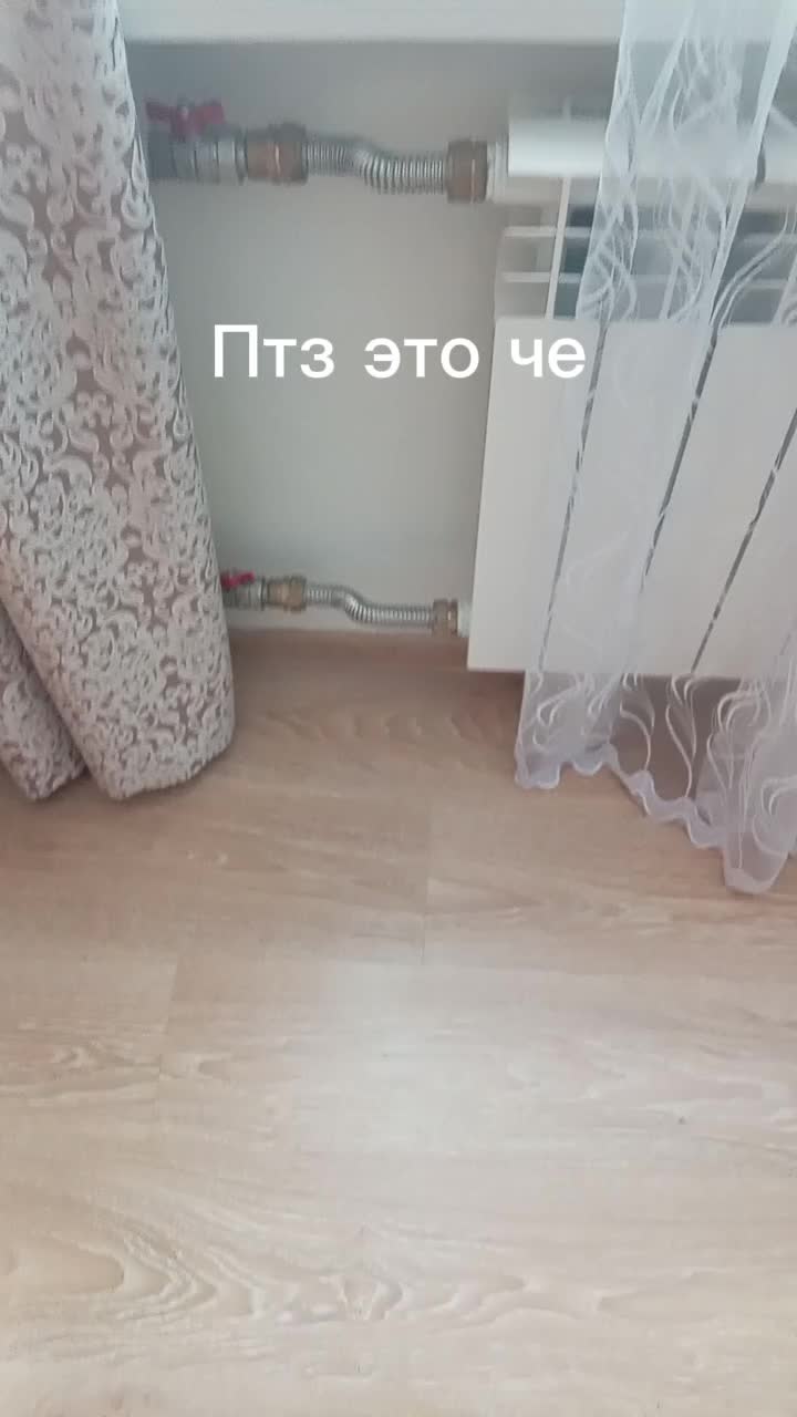 @Ptzcarspott