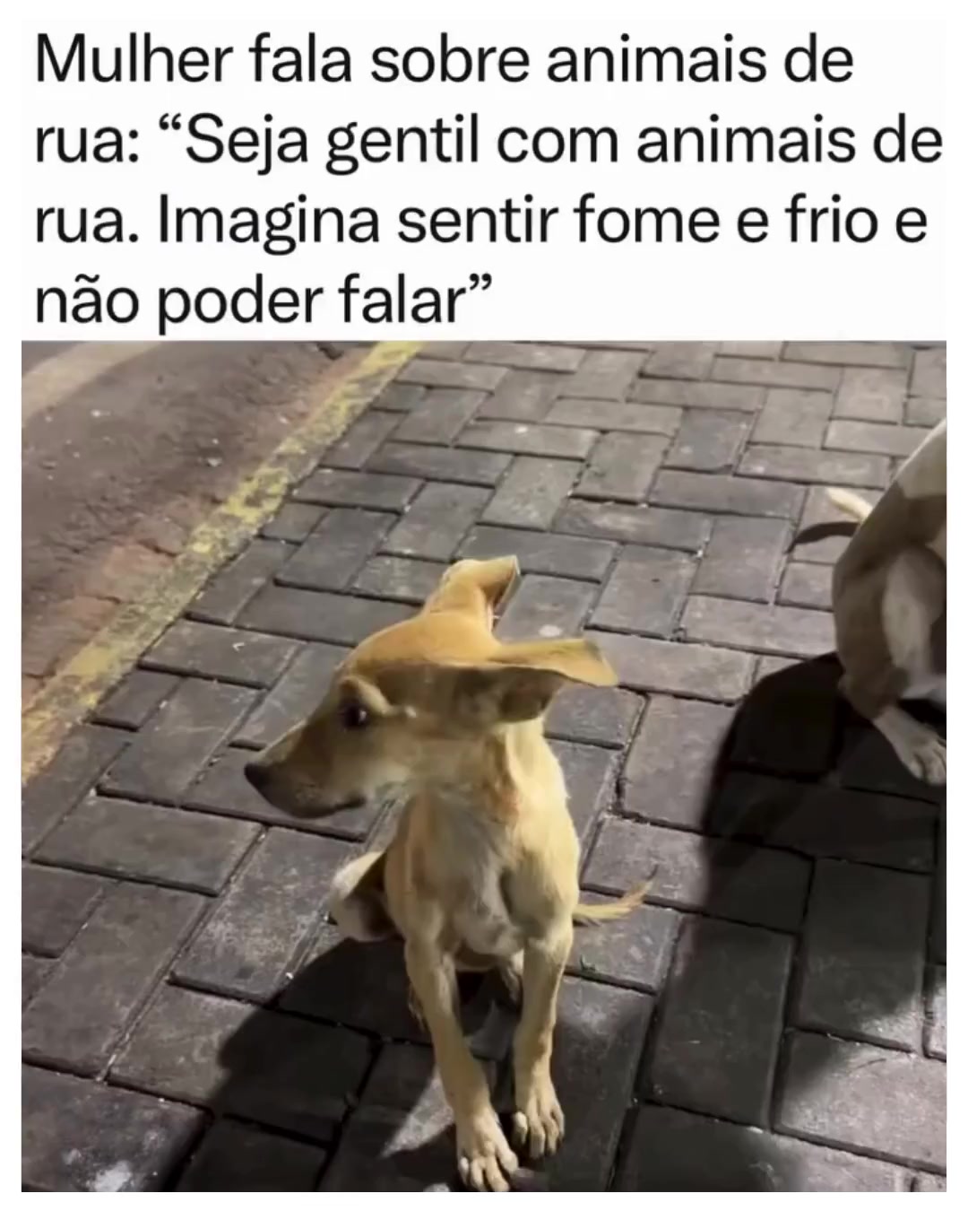 @Alfinetei