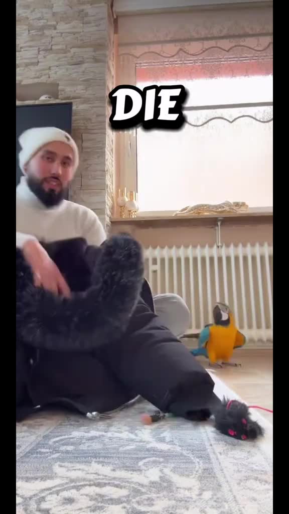 @Shankshaki