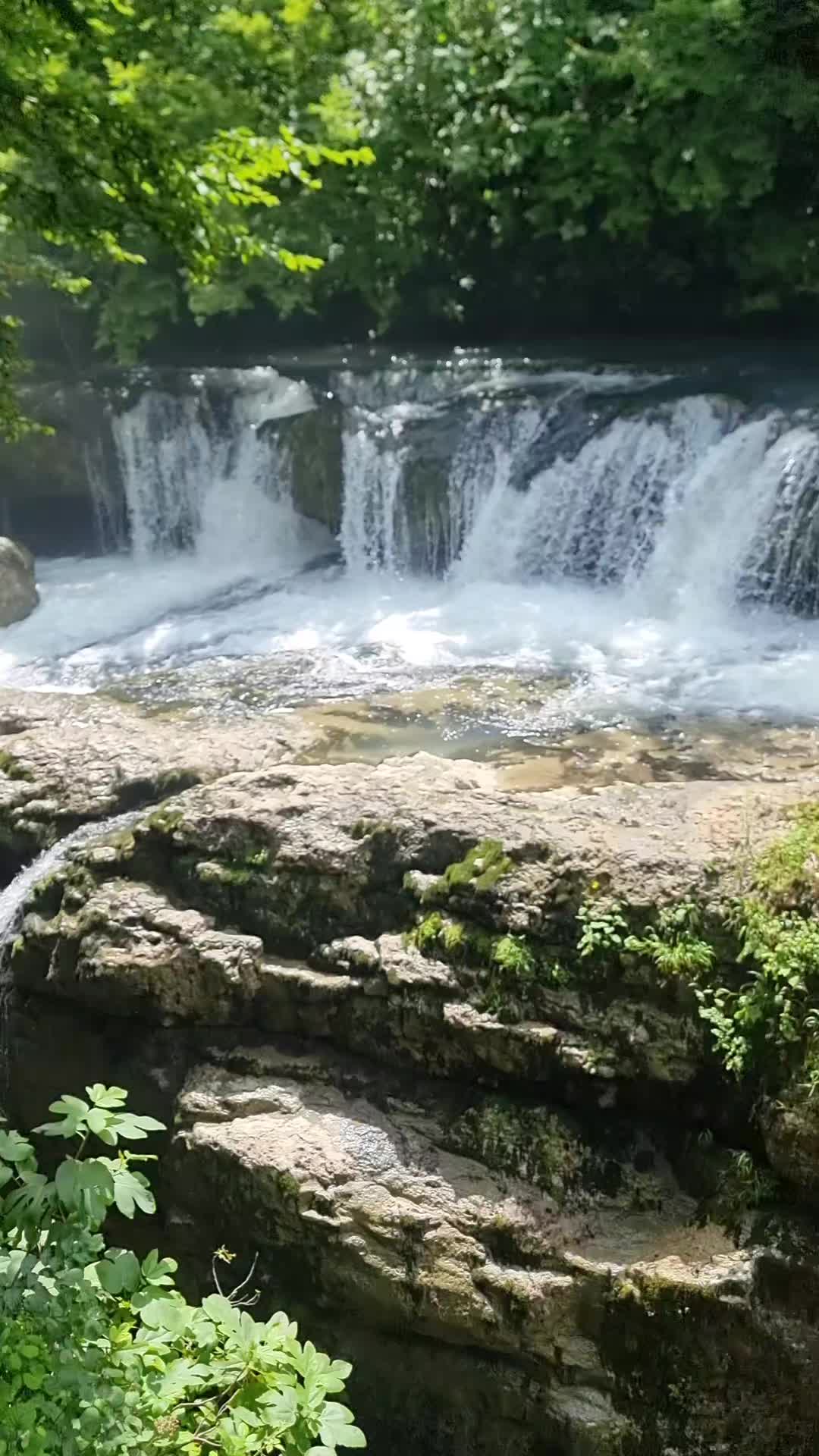 @@danutakruk72