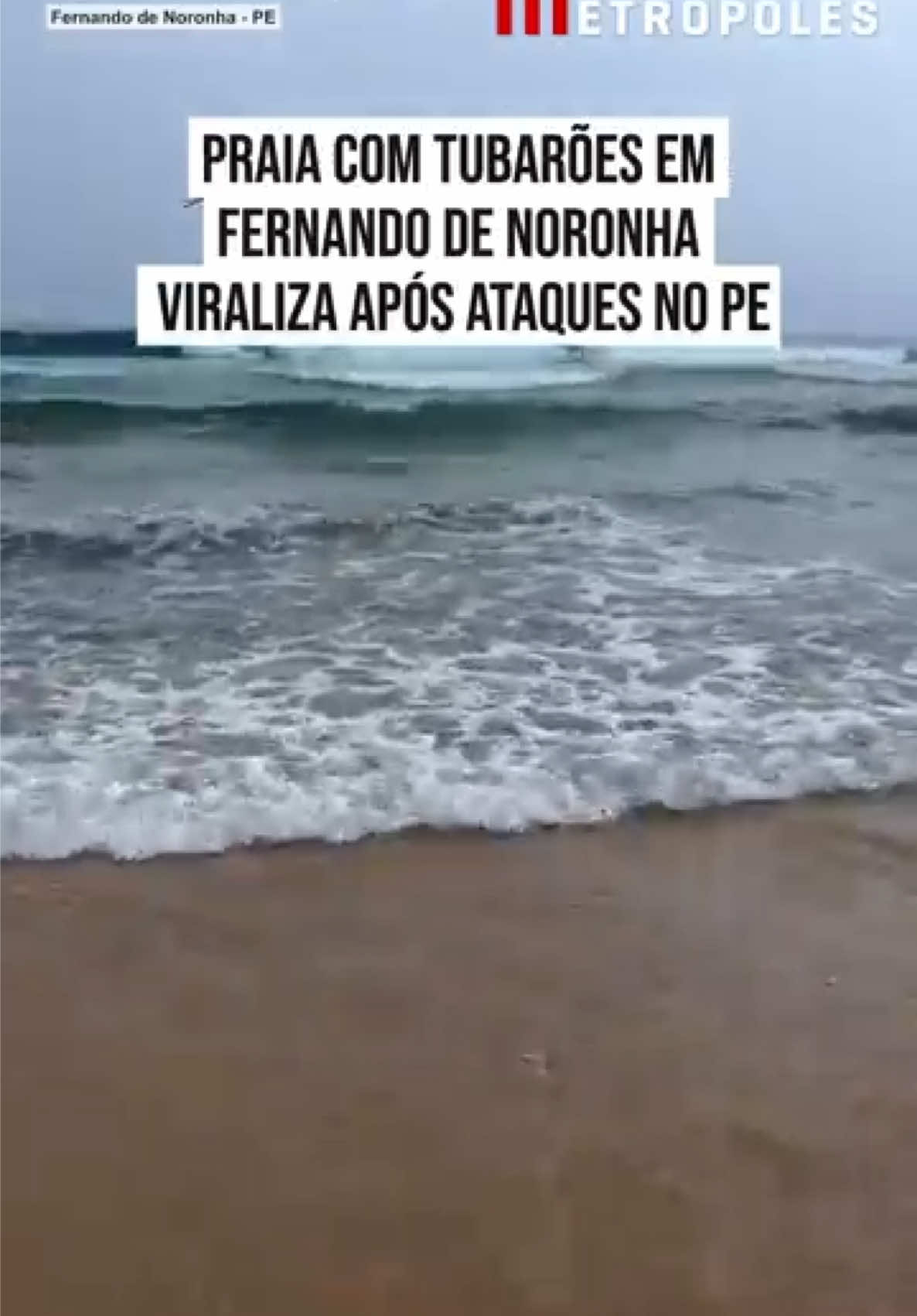 @Metr&oacute;poles Oficial