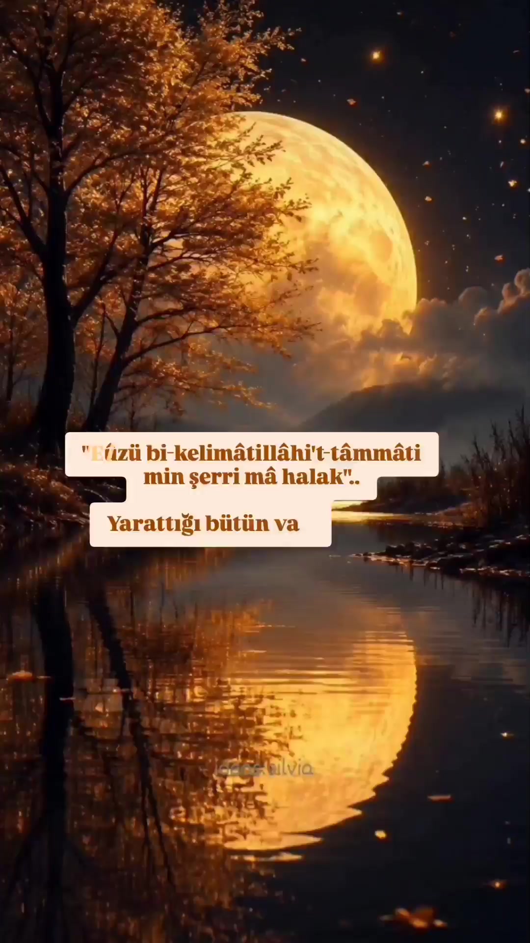 @hayat nereye gidiyor