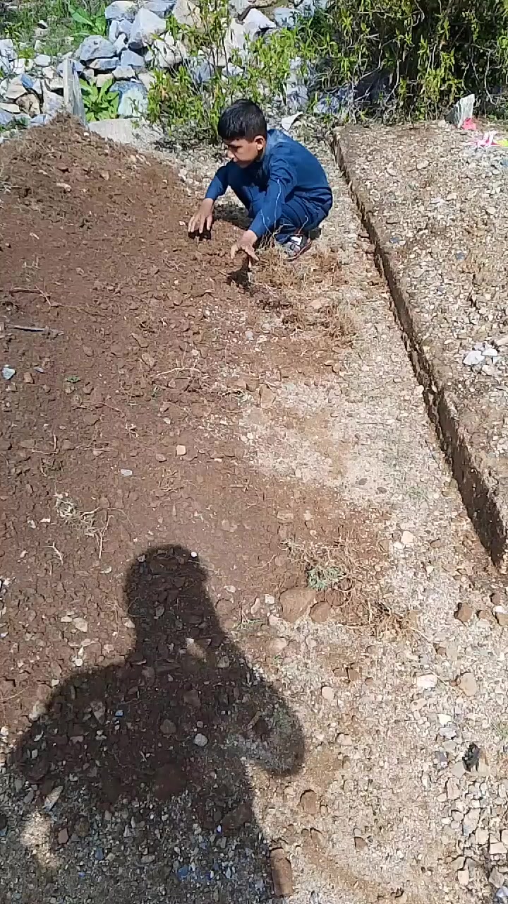 @barkatkhan5972