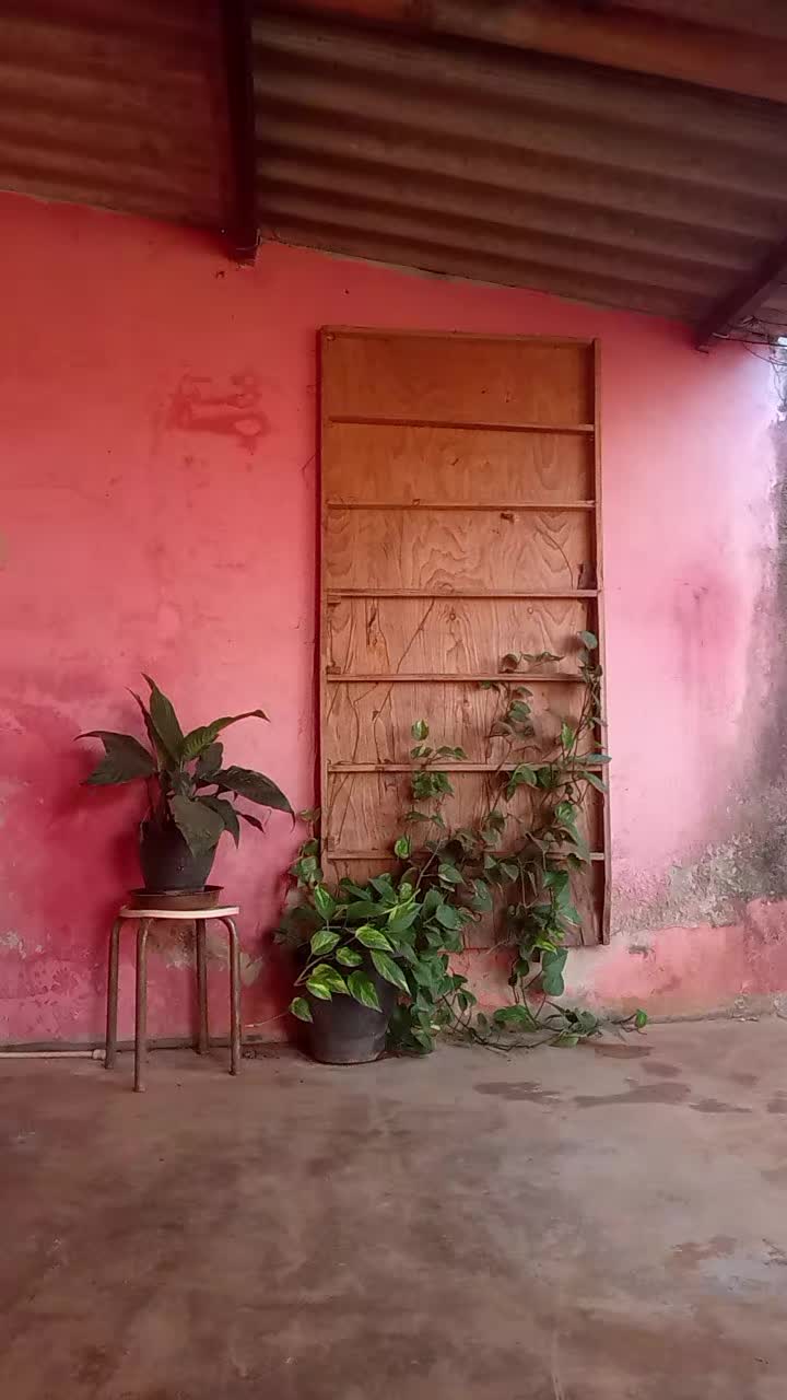 @Edilza Almeida546