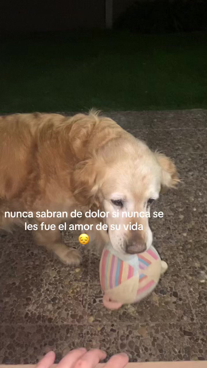 @v&rsquo;