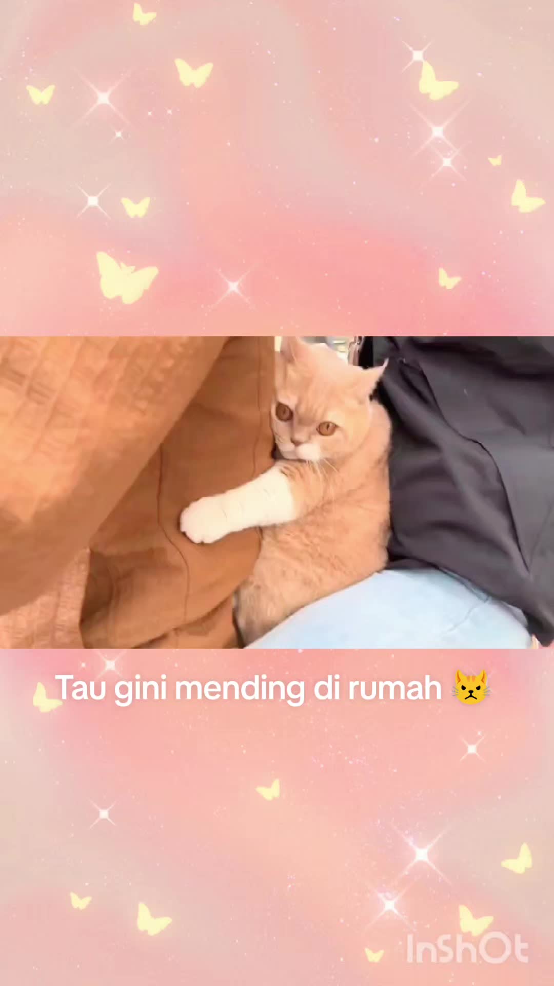 @Kiki