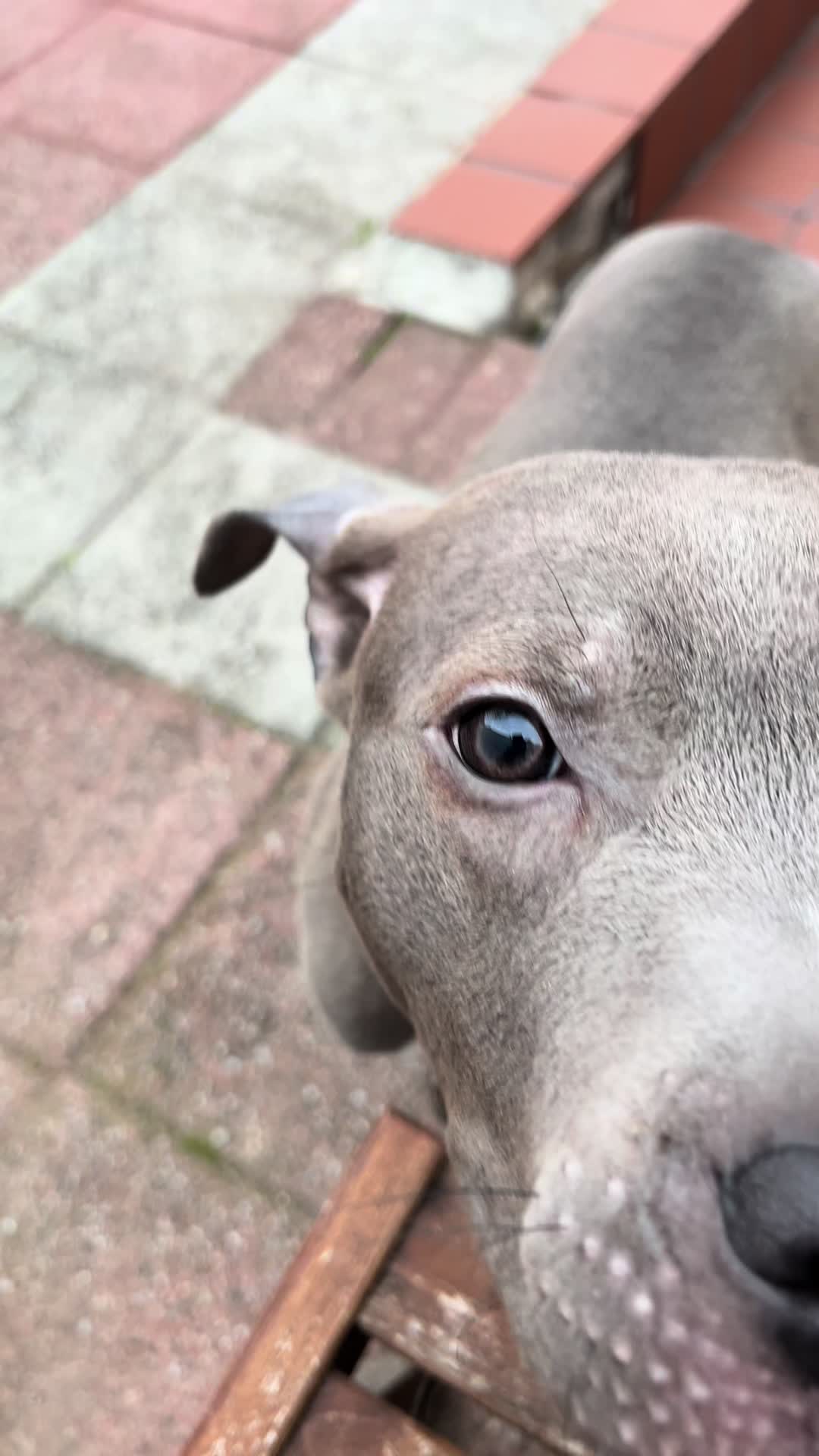 @kroj.7