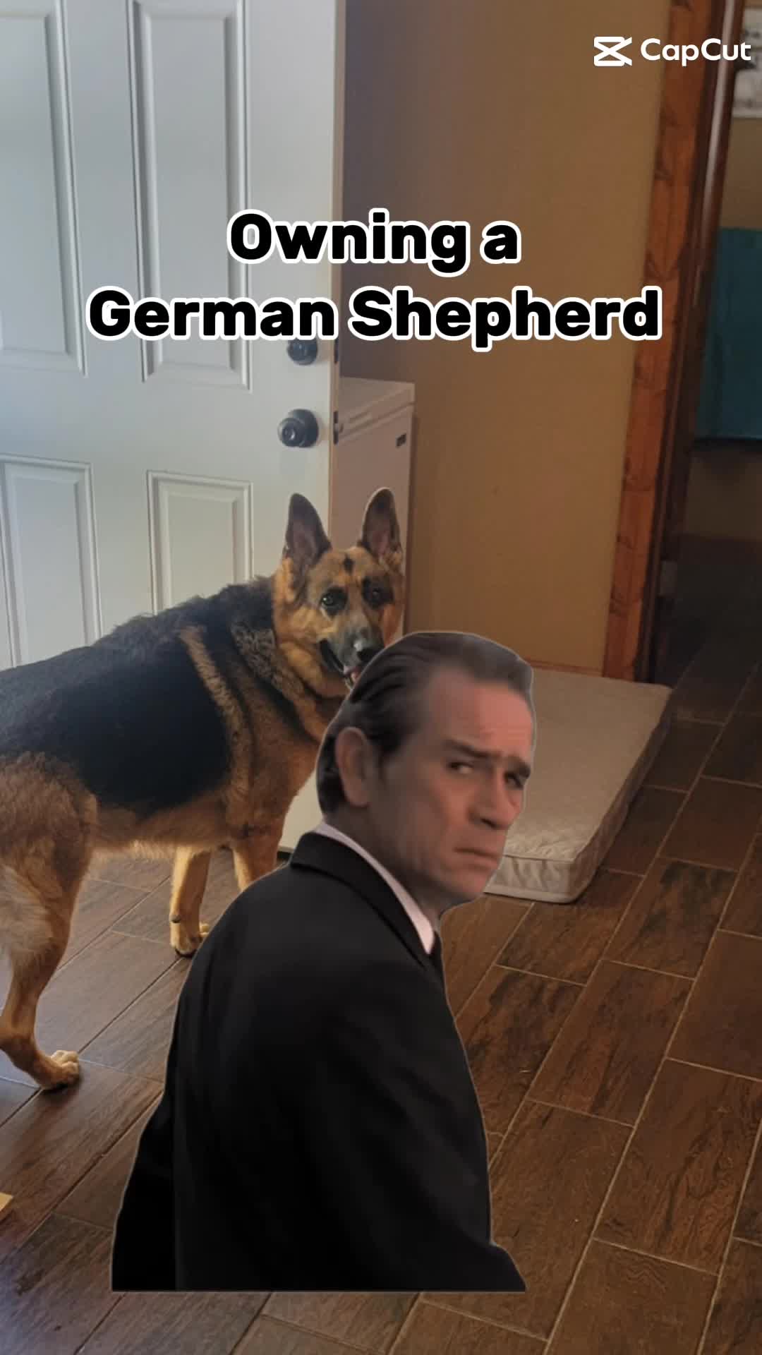 @D&D❌️ and Duke
