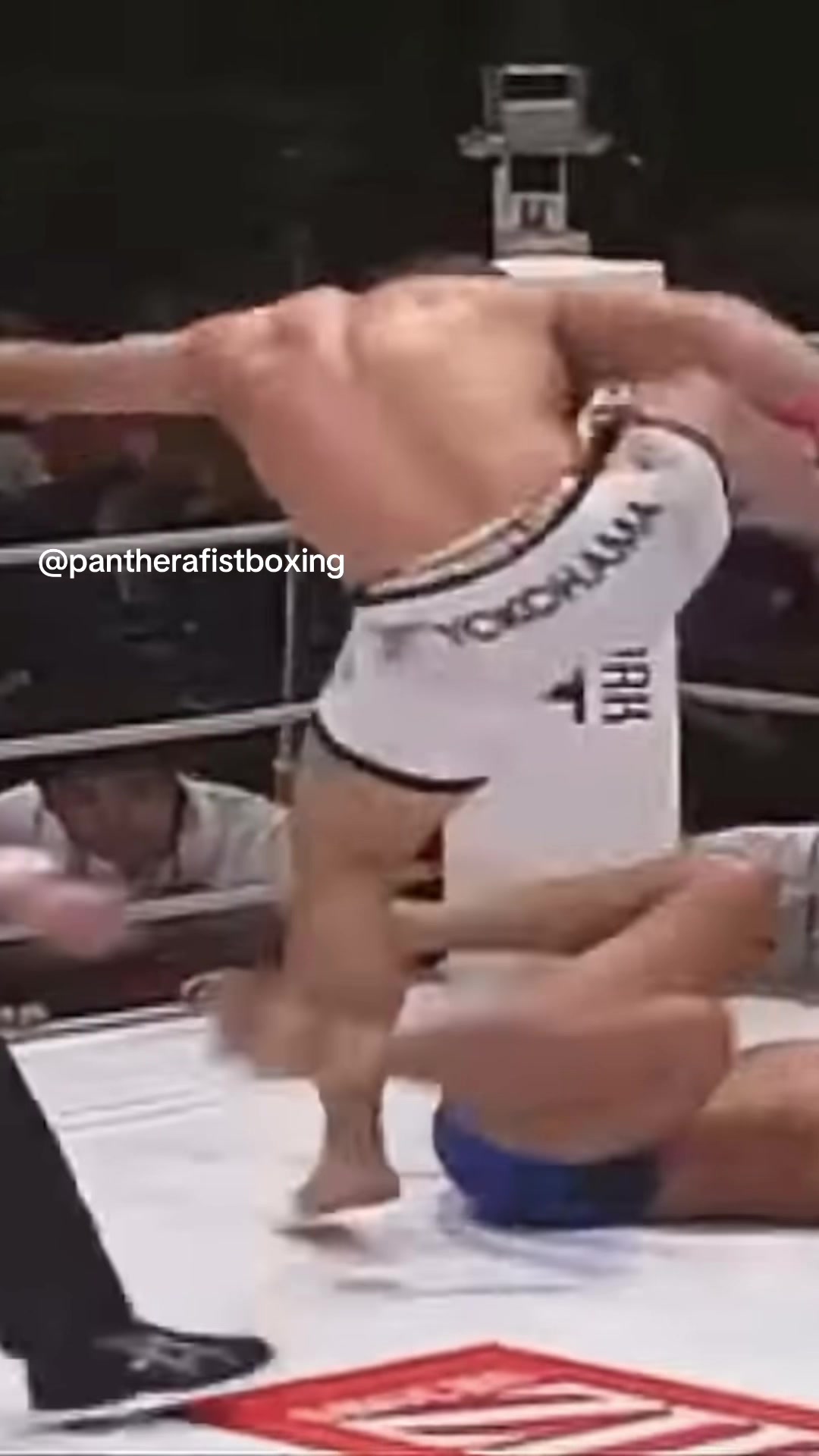 @Panthera Fist Boxing