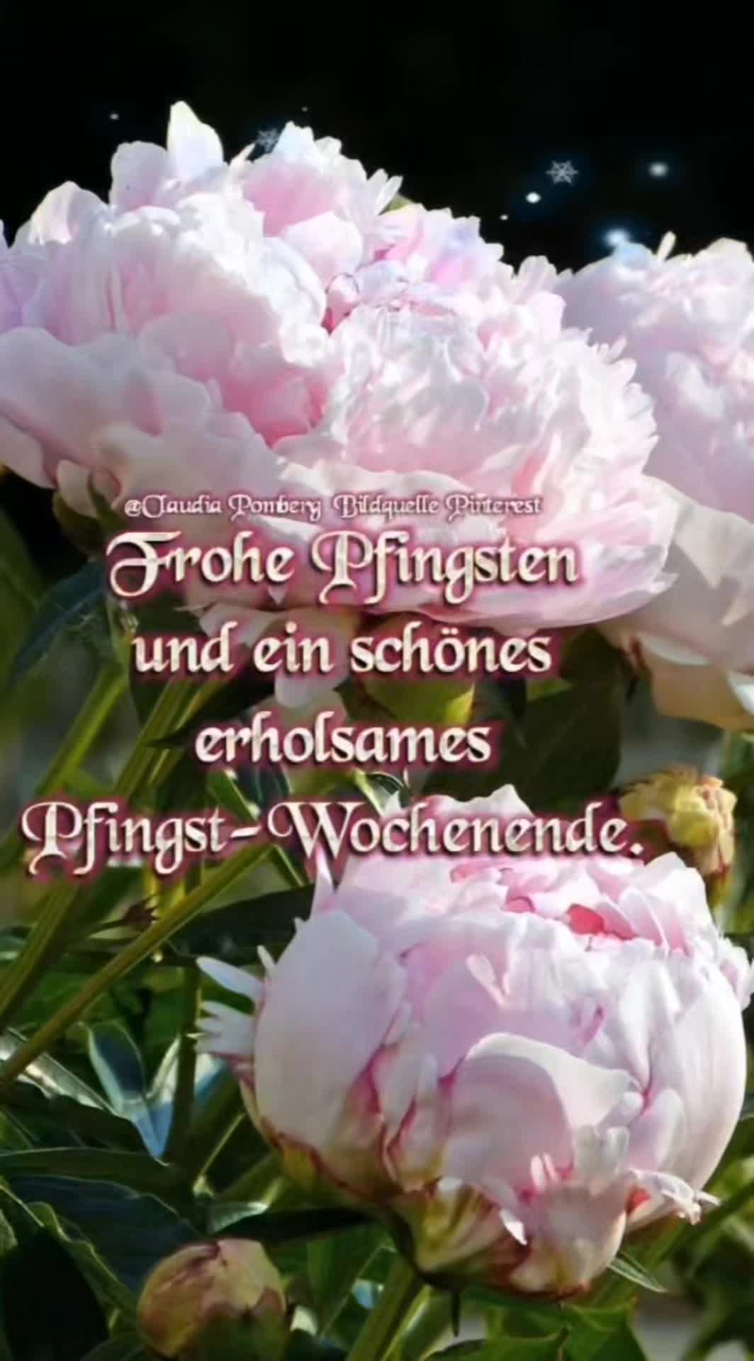 @J&ouml;rg 🐸&🐜Florian