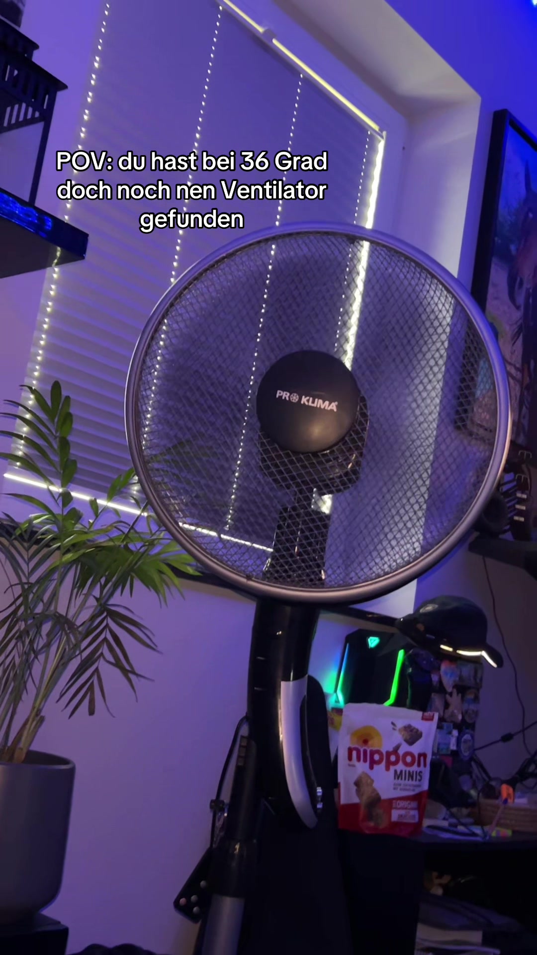@nicopunktcom