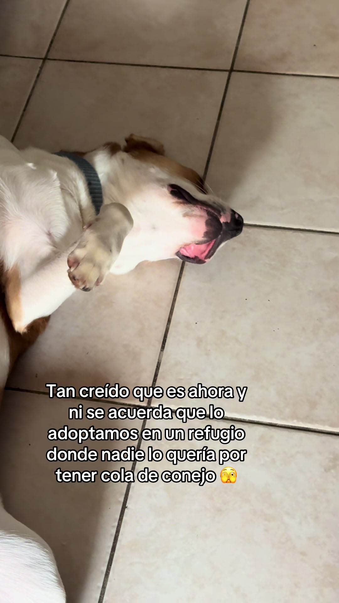 @Chumy Rubiano