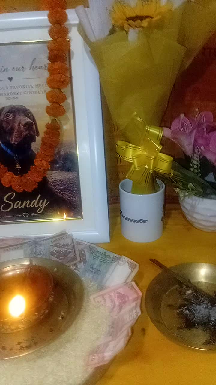 @Samita Giri
