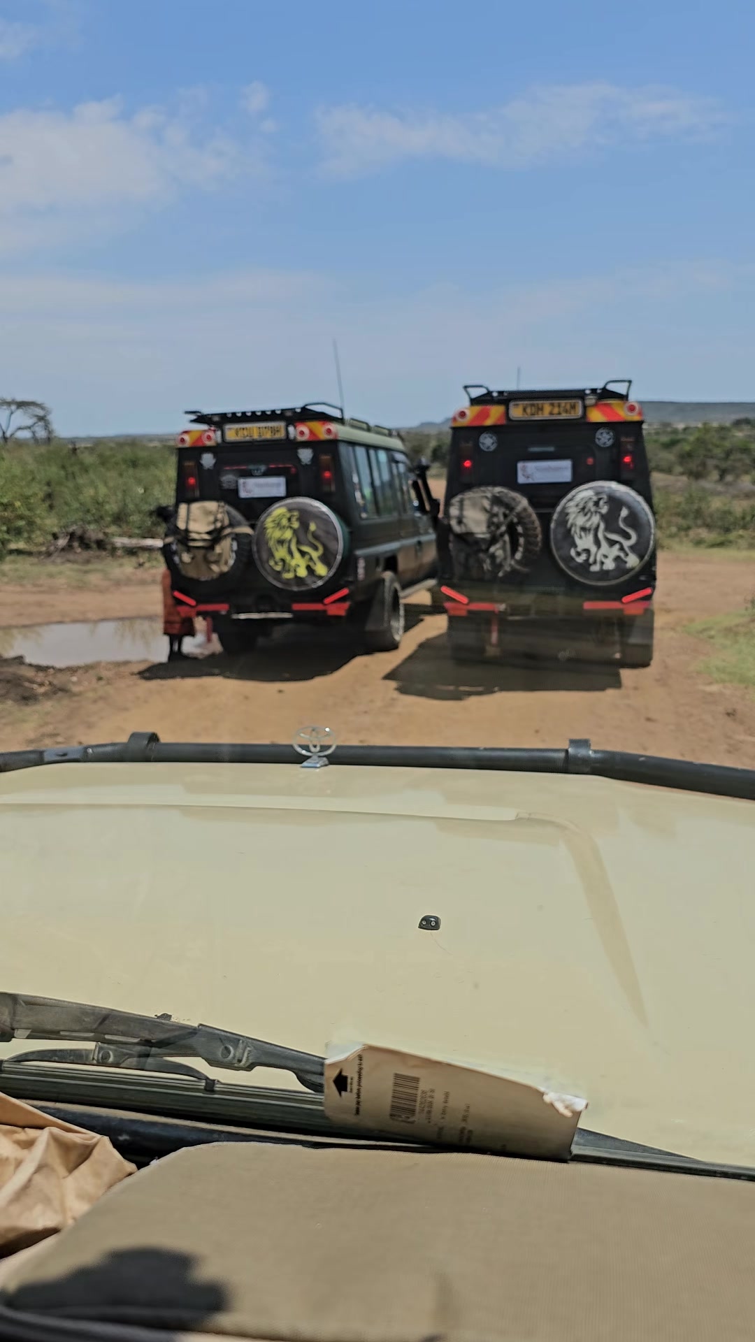 @Deno_wa_safari