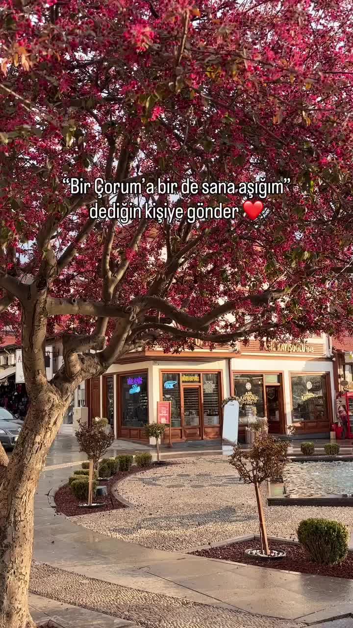 @Avrupadaki_Corumlular_19