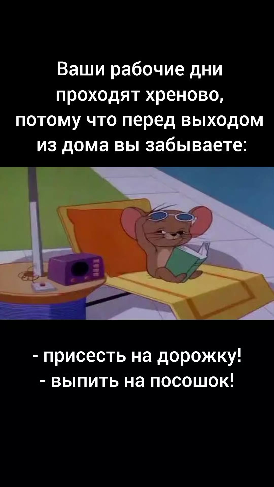 @STEFI88