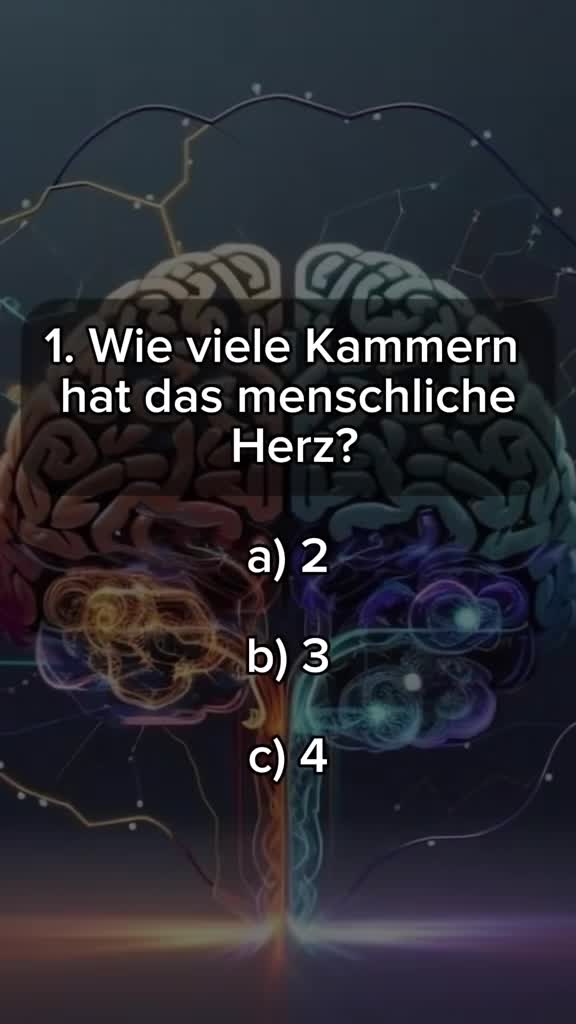 @DailyQuizMaster