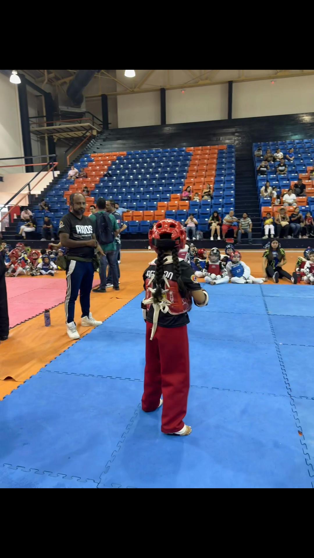 @taekwondolionsteam