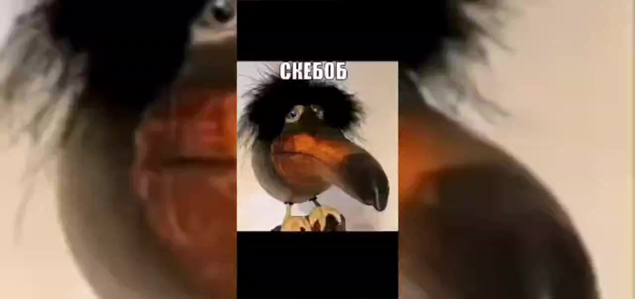 @новый год будет