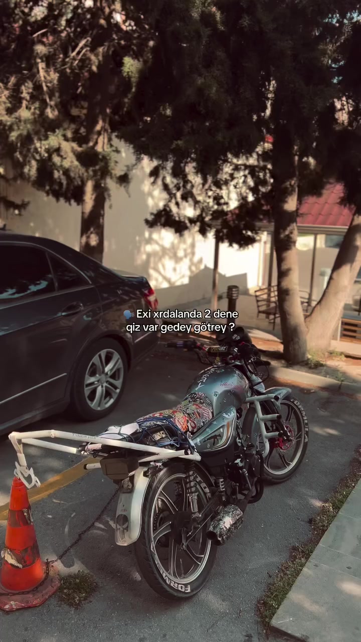 @Soltanows⚡️