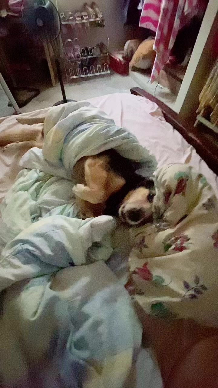 @Lucy E....♥️🥰🫶🏻
