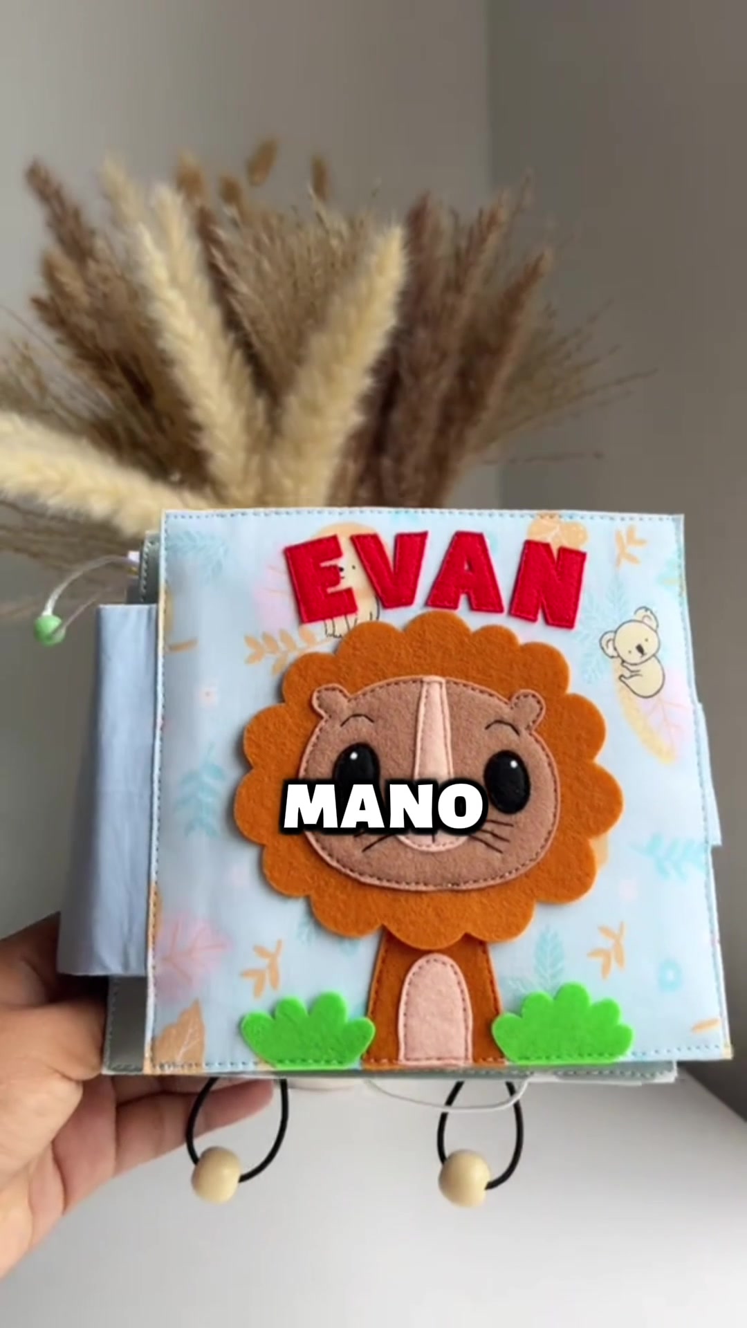 @Transformando Vidas