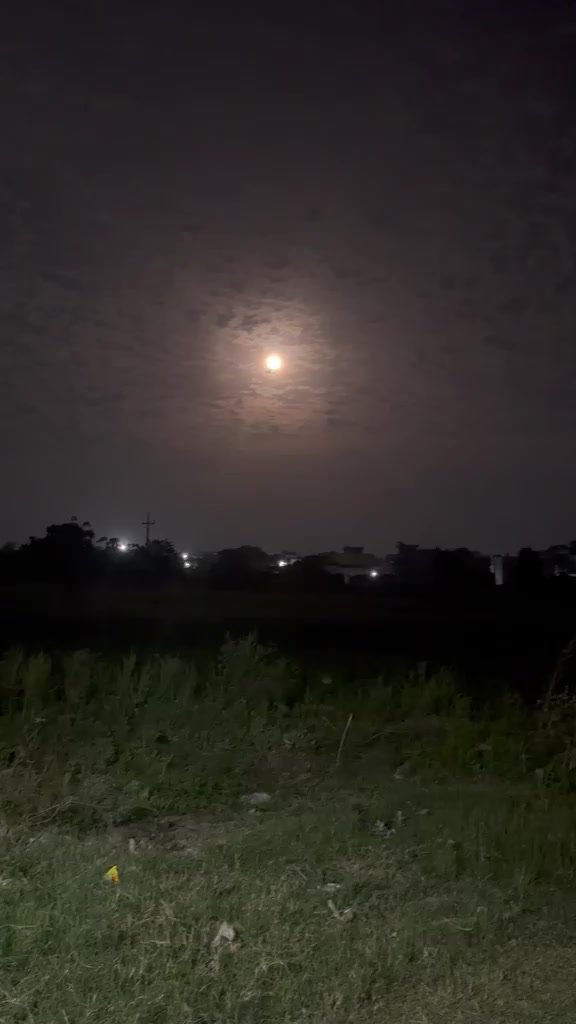 @Shumaila Akhtar