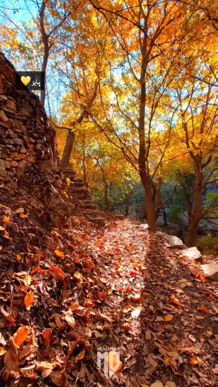 @jegr_rahman