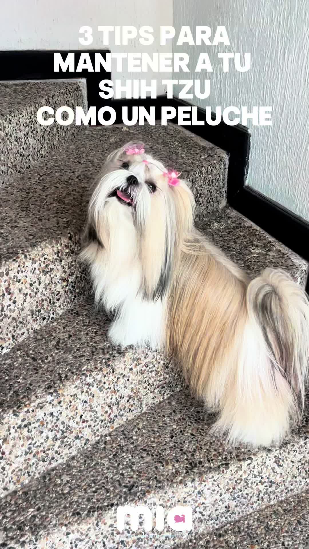 @Daniela Ospina