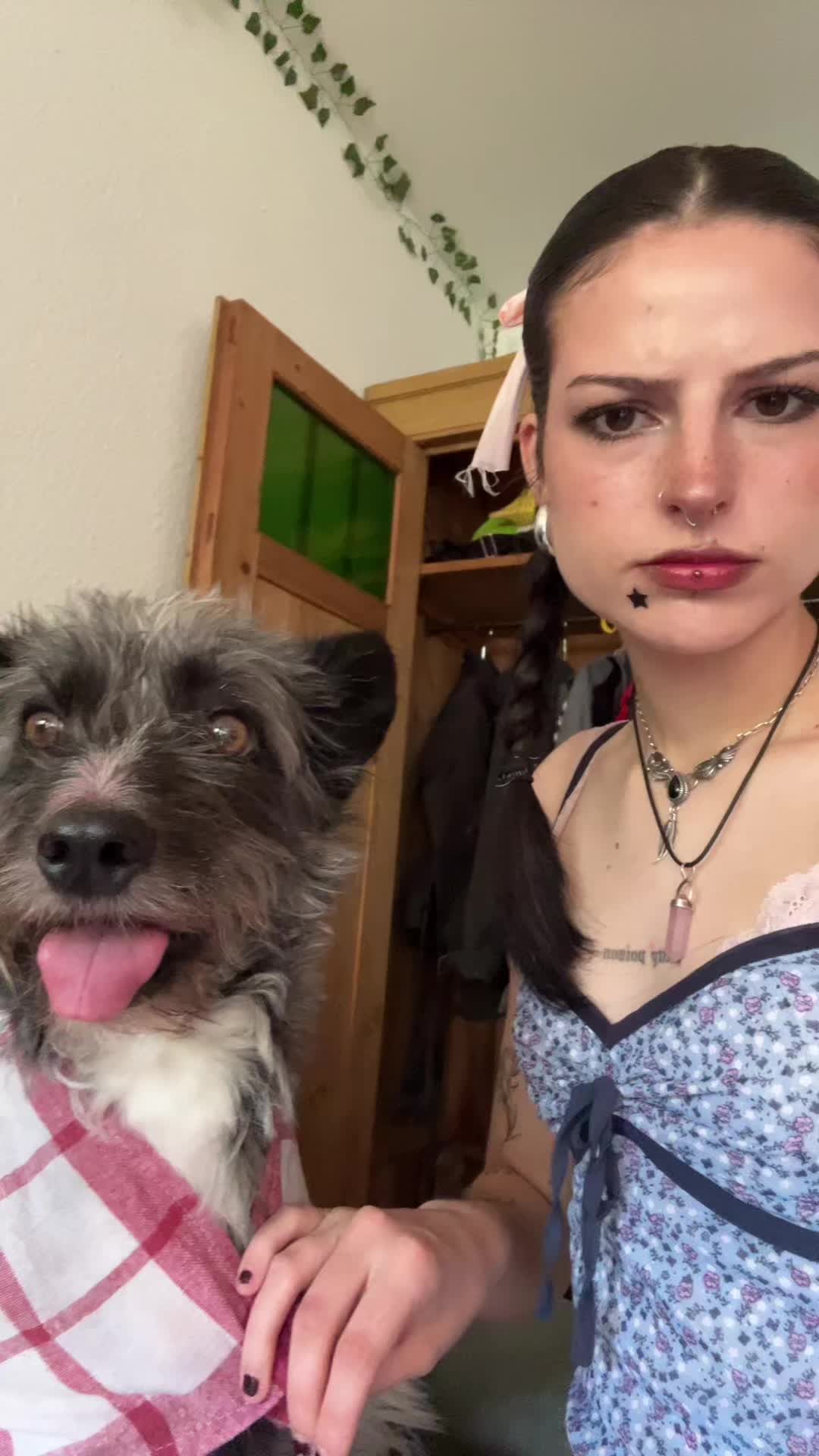 @thebojackhorsegirl