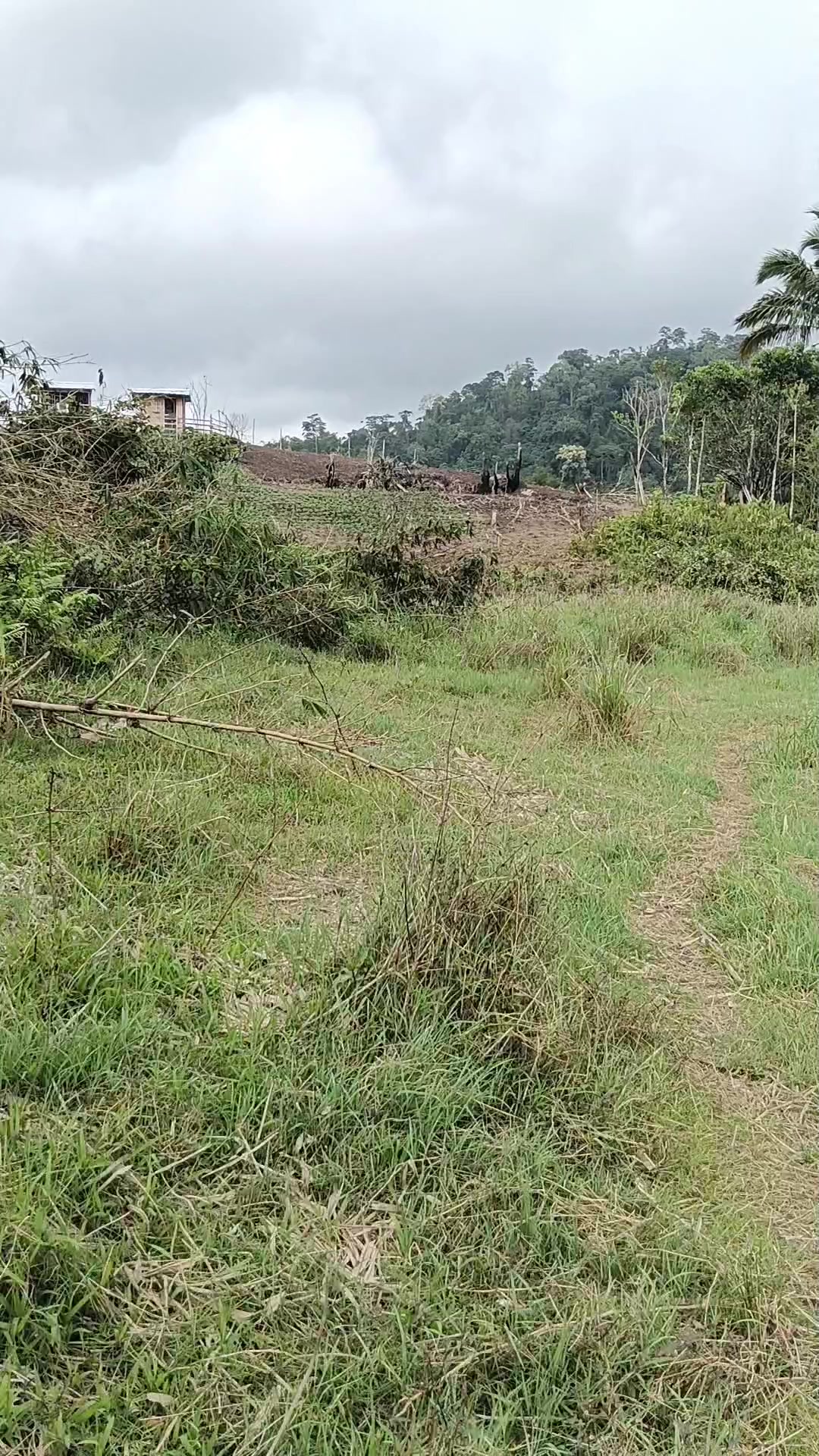 @Ar Ar