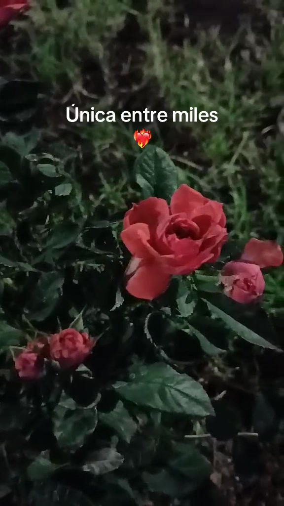 @Vicky